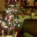Christmas at my house Image 5