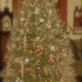 oh christmas tree Image 7