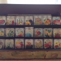 Antique seed box Image 1