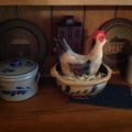 Spring chickens Image 3