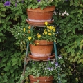 Clever Containers: 10 Fresh Ways With Florals Image 2
